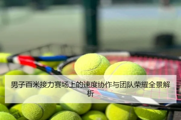 男子百米接力赛场上的速度协作与团队荣耀全景解析
